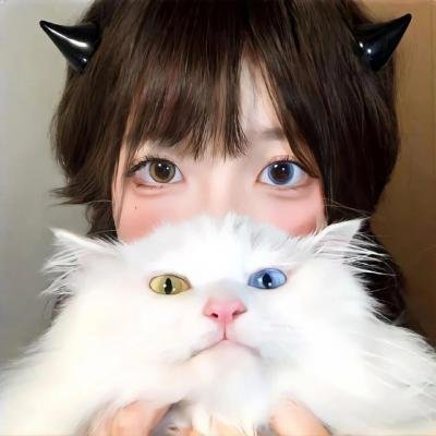 血战西盘岛